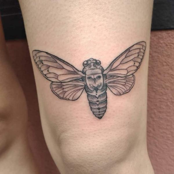 50 Cicada tattoos to Celebrate Change