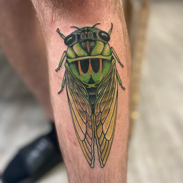 50 Cicada tattoos to Celebrate Change