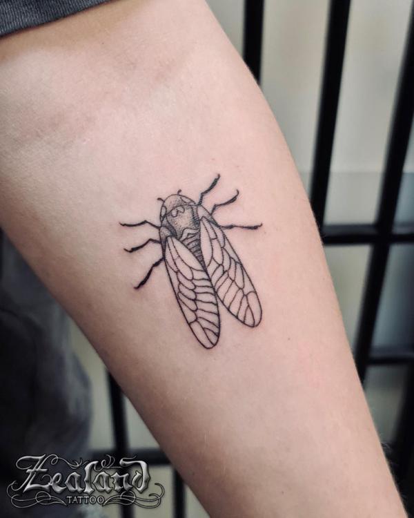 50 Cicada tattoos to Celebrate Change
