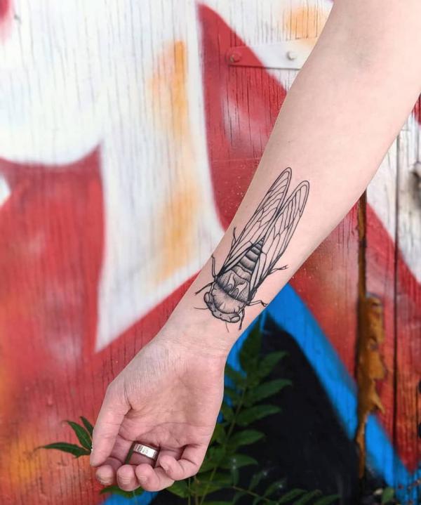 50 Cicada tattoos to Celebrate Change