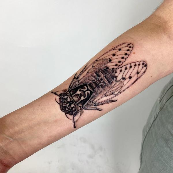 50 Cicada tattoos to Celebrate Change