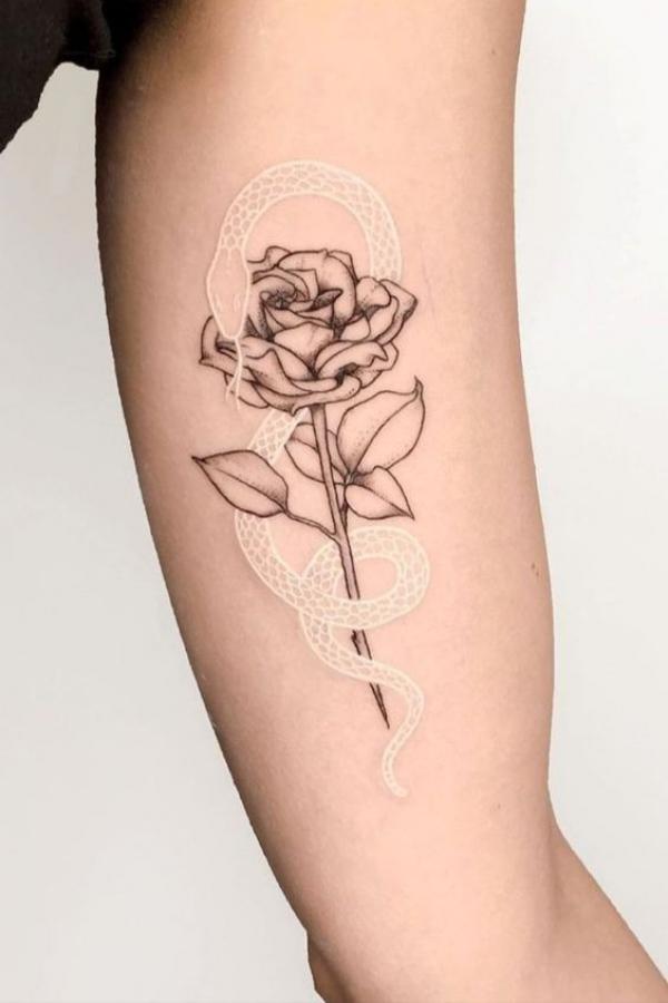 70 Rose and Snake Tattoo Designs with Meaning
