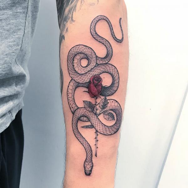 70 Rose and Snake Tattoo Designs with Meaning