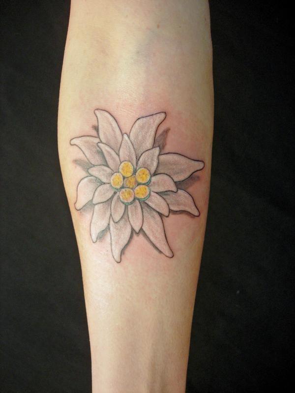 Edelweiss Tattoo: A Symbol of Beauty and Resilience