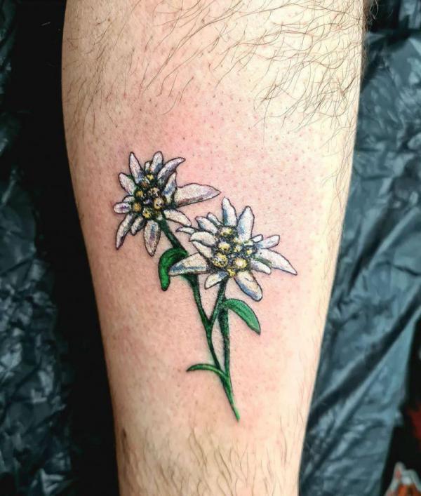 Edelweiss Tattoo: A Symbol of Beauty and Resilience