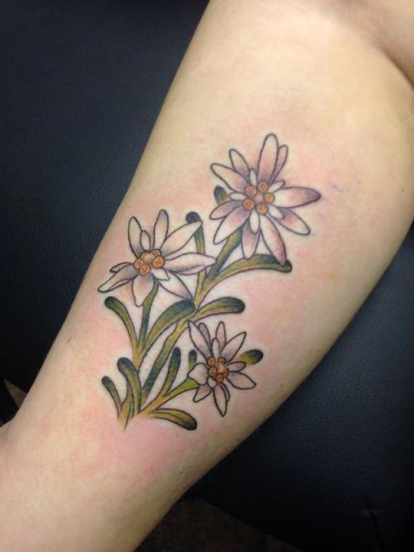 Edelweiss Tattoo: A Symbol of Beauty and Resilience