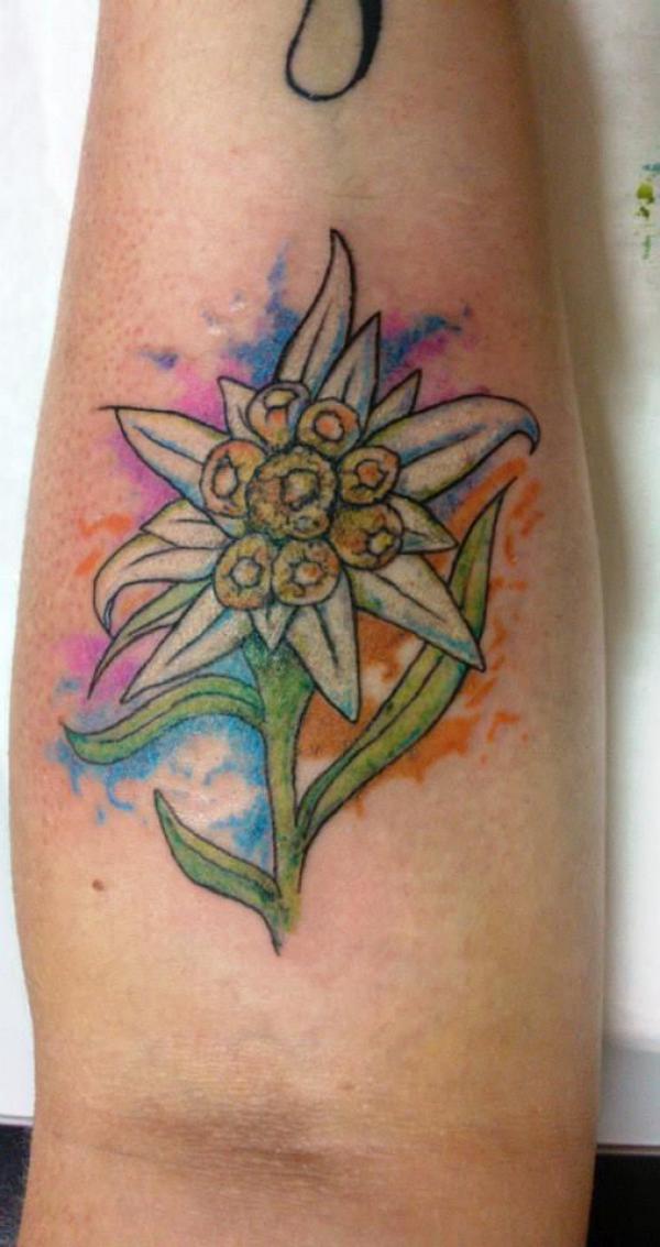 Edelweiss Tattoo: A Symbol of Beauty and Resilience