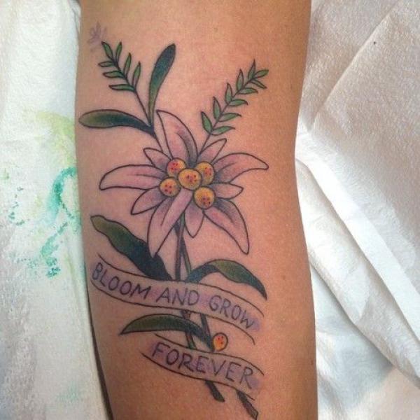 Edelweiss Tattoo: A Symbol of Beauty and Resilience