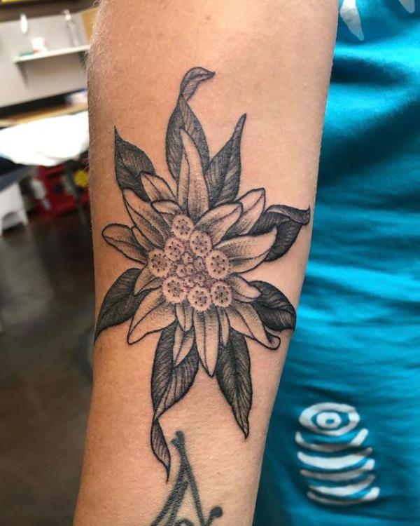 Edelweiss Tattoo: A Symbol of Beauty and Resilience