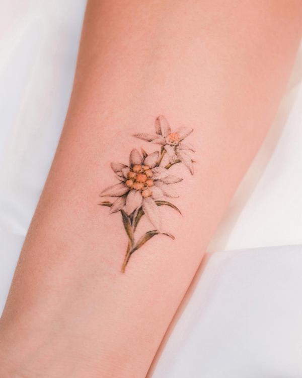 Edelweiss Tattoo: A Symbol of Beauty and Resilience