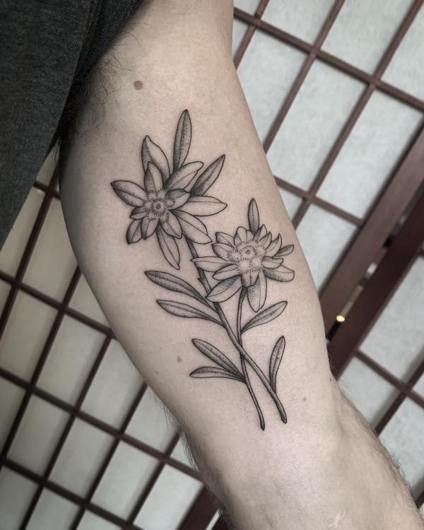 Edelweiss Tattoo: A Symbol of Beauty and Resilience
