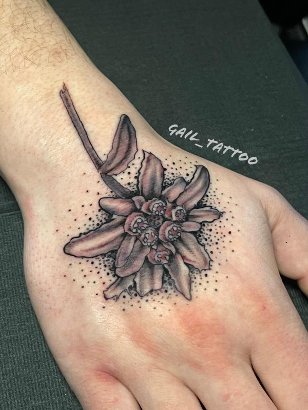 Edelweiss Tattoo: A Symbol of Beauty and Resilience