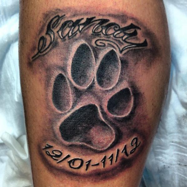 80 Stunning Lion King Tattoo Designs