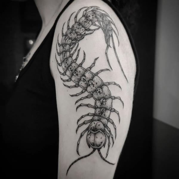 60 Centipede Tattoo Designs With Meaning