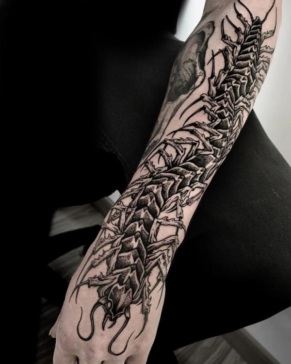 60 Centipede Tattoo Designs With Meaning
