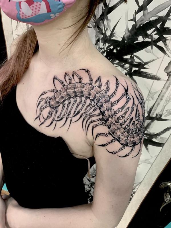 60 Centipede Tattoo Designs With Meaning