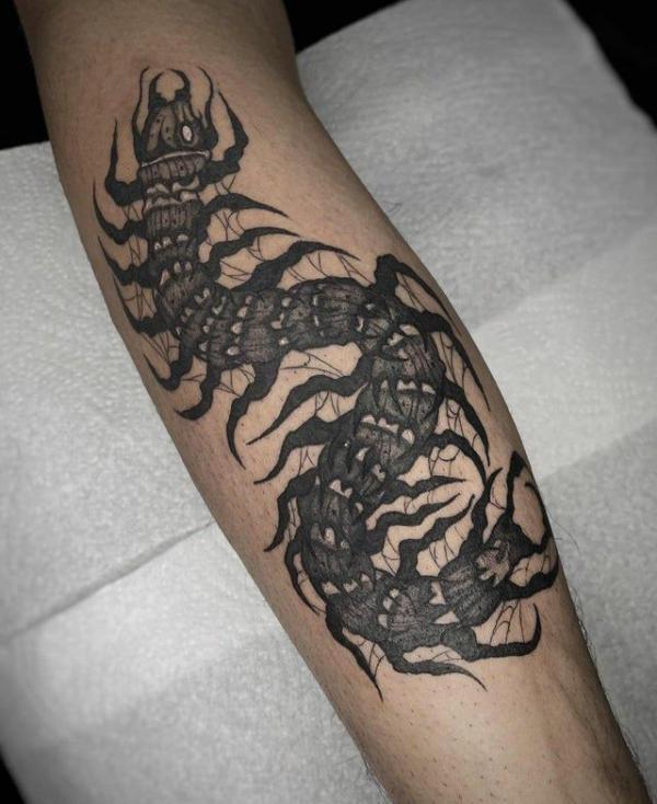 60 Centipede Tattoo Designs With Meaning