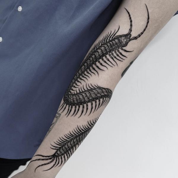 60 Centipede Tattoo Designs With Meaning