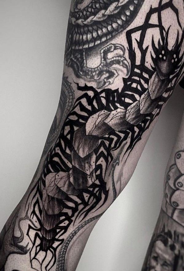 60 Centipede Tattoo Designs With Meaning
