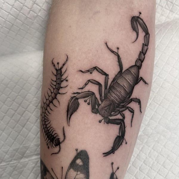 60 Centipede Tattoo Designs With Meaning