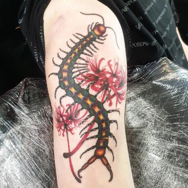 60 Centipede Tattoo Designs With Meaning