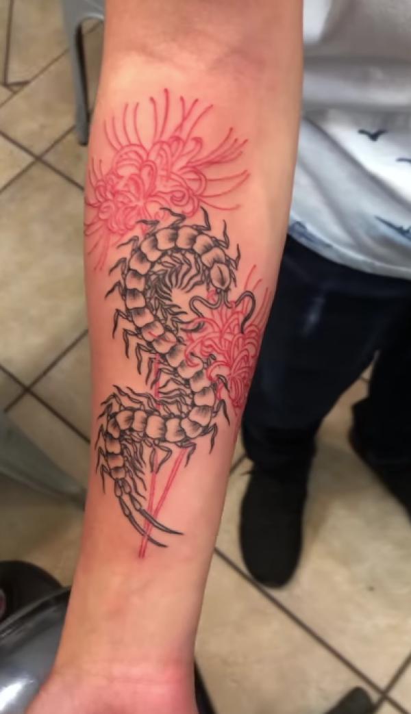 60 Centipede Tattoo Designs With Meaning