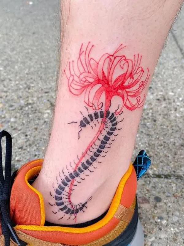 60 Centipede Tattoo Designs With Meaning