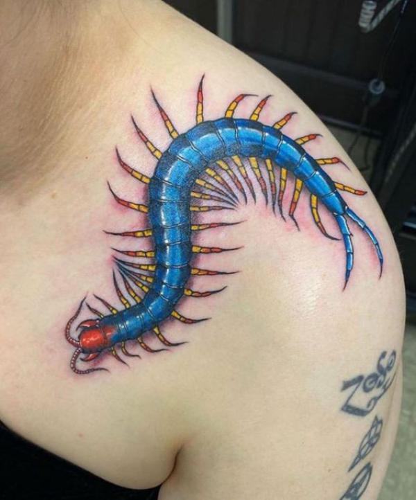 60 Centipede Tattoo Designs With Meaning