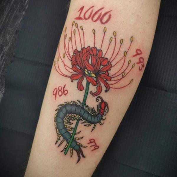 60 Centipede Tattoo Designs With Meaning