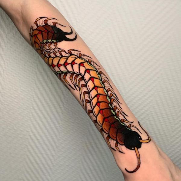 60 Centipede Tattoo Designs With Meaning