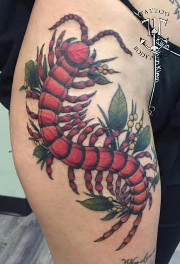 60 Centipede Tattoo Designs With Meaning