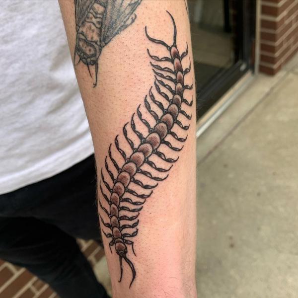 60 Centipede Tattoo Designs With Meaning