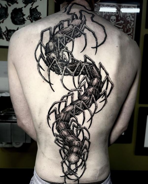 60 Centipede Tattoo Designs With Meaning