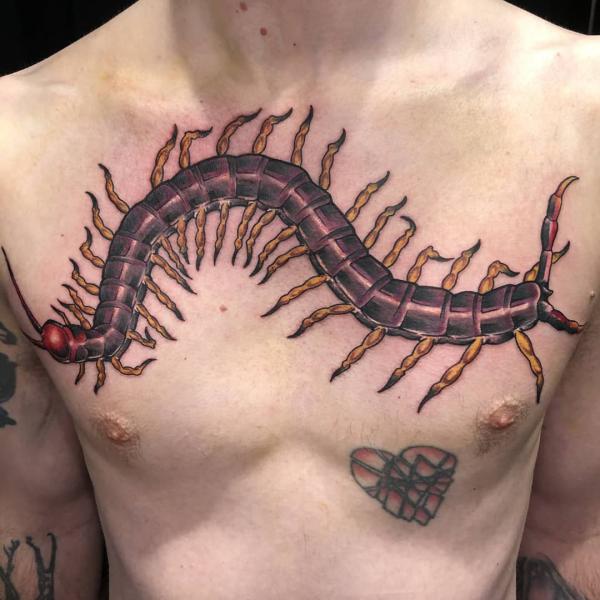 60 Centipede Tattoo Designs With Meaning