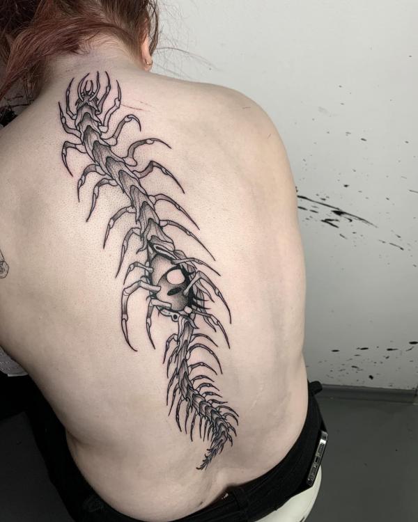 60 Centipede Tattoo Designs With Meaning