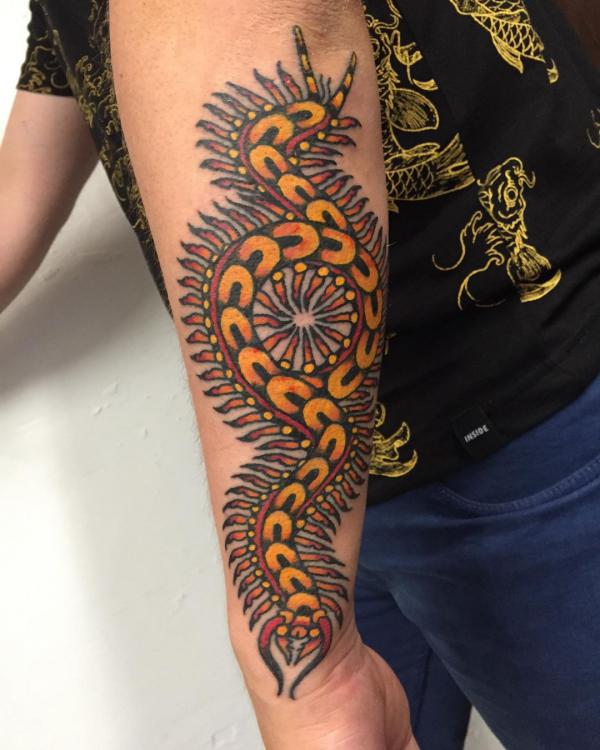 60 Centipede Tattoo Designs With Meaning