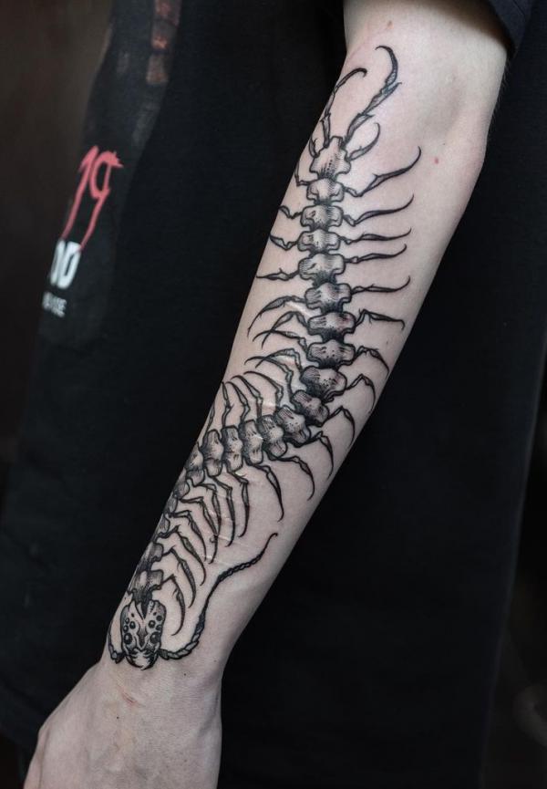 60 Centipede Tattoo Designs With Meaning