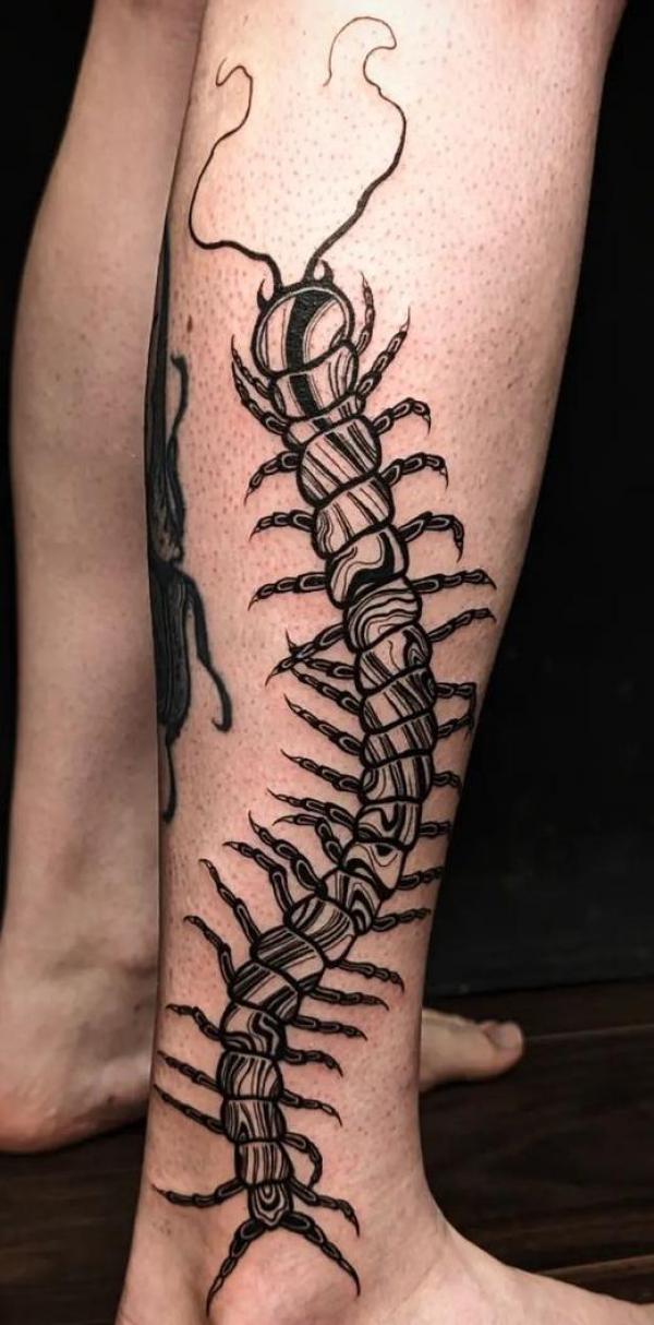 60 Centipede Tattoo Designs With Meaning