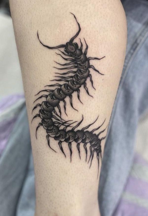 60 Centipede Tattoo Designs With Meaning