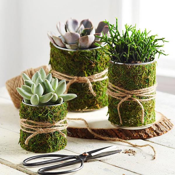 40+ DIY Flower Pot Ideas
