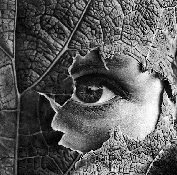 Black and White Pencil Art by Silvio Giannini