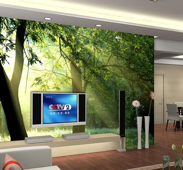 50 Inspirational TV Wall Ideas