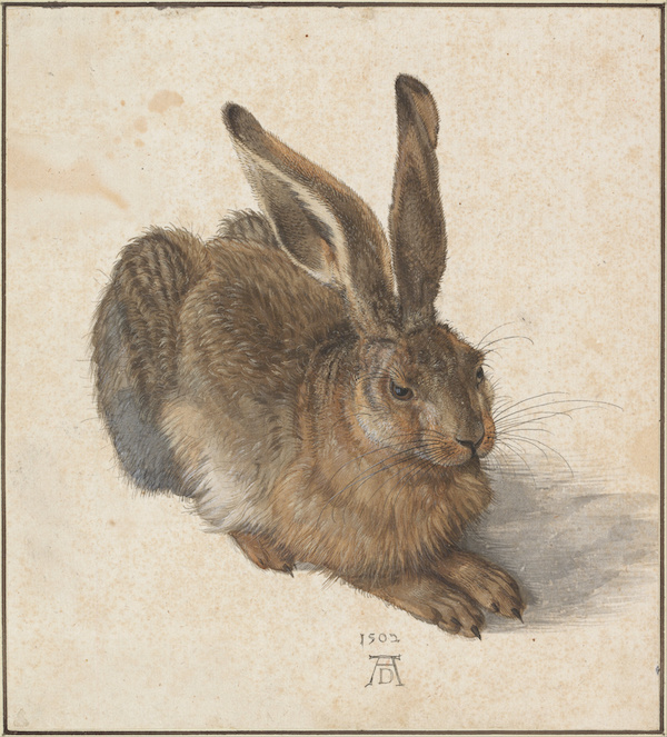 Exploring the Power of Line in Art: Techniques, Types, and Examples