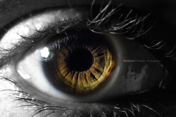 35 Emotional Eye Pictures
