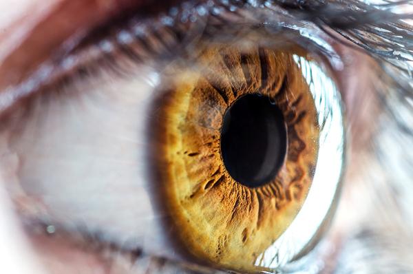 35 Emotional Eye Pictures