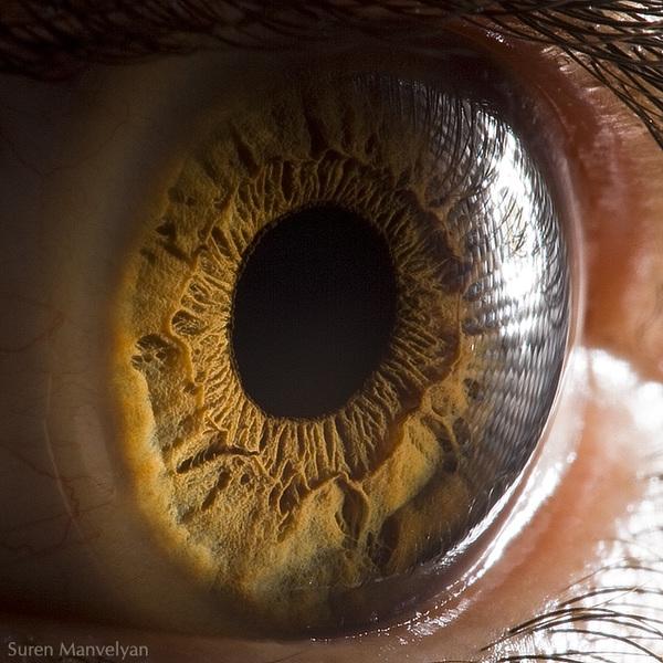 35 Emotional Eye Pictures