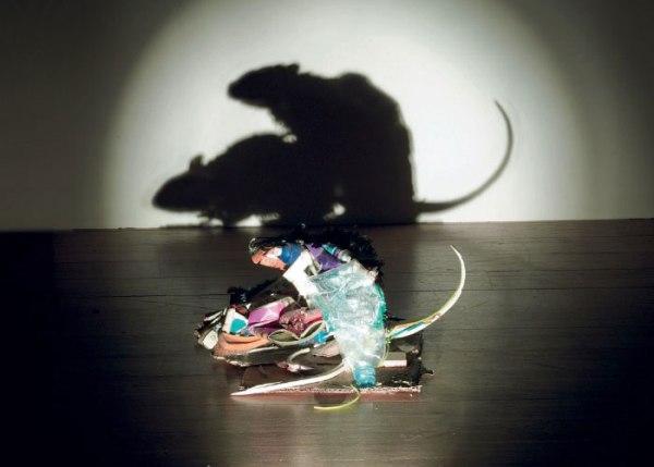 30 Examples of Shadow Art