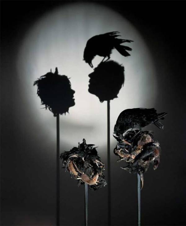 30 Examples of Shadow Art