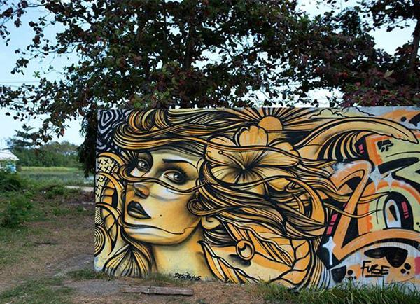 Street Art by Destroy